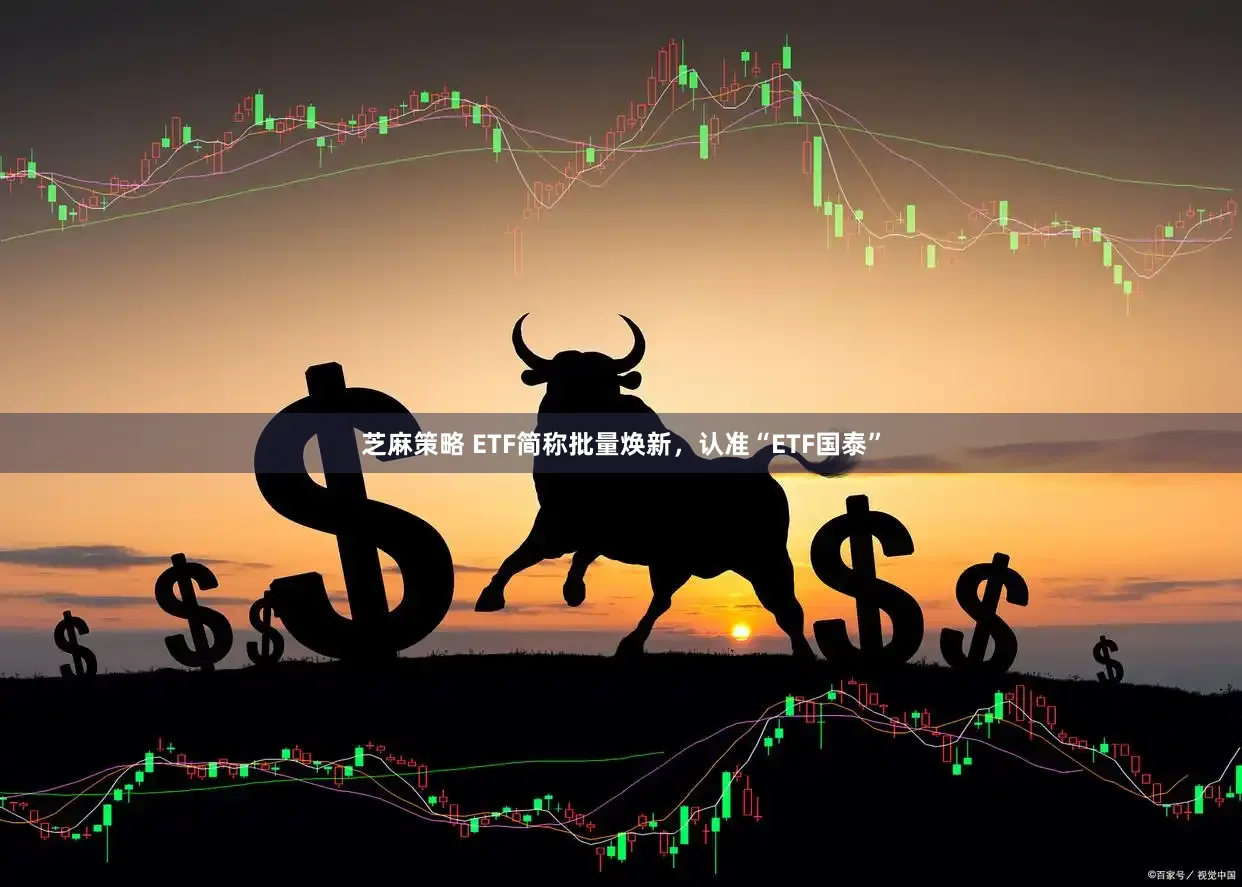 芝麻策略 ETF简称批量焕新，认准“ETF国泰”