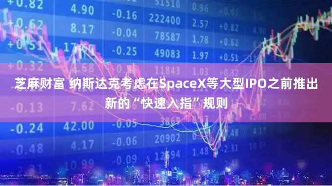 芝麻财富 纳斯达克考虑在SpaceX等大型IPO之前推出新的“快速入指”规则