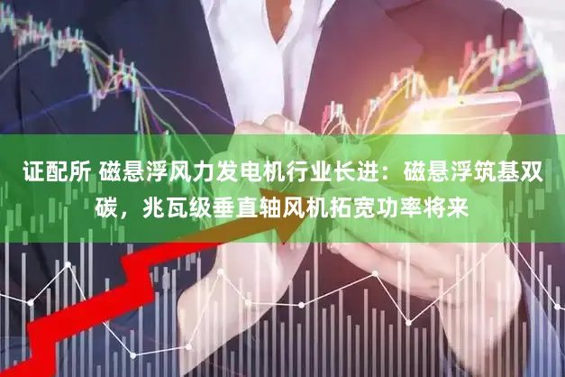 证配所 磁悬浮风力发电机行业长进：磁悬浮筑基双碳，兆瓦级垂直轴风机拓宽功率将来