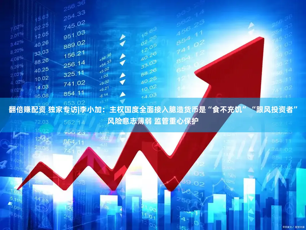 翻倍赚配资 独家专访|李小加：主权国度全面接入臆造货币是“食不充饥” “跟风投资者”风险意志薄弱 监管重心保护