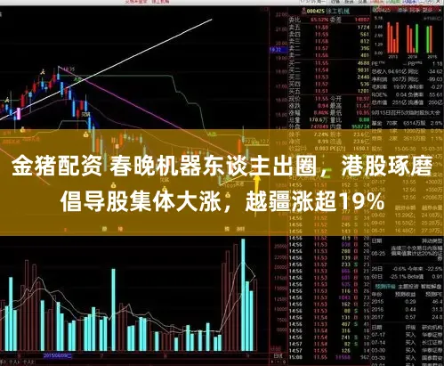 金猪配资 春晚机器东谈主出圈，港股琢磨倡导股集体大涨，越疆涨超19%
