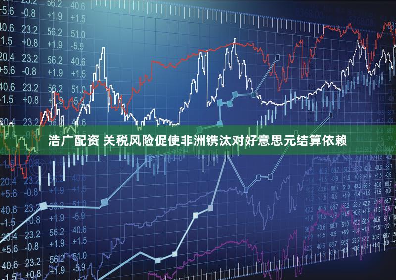 浩广配资 关税风险促使非洲镌汰对好意思元结算依赖