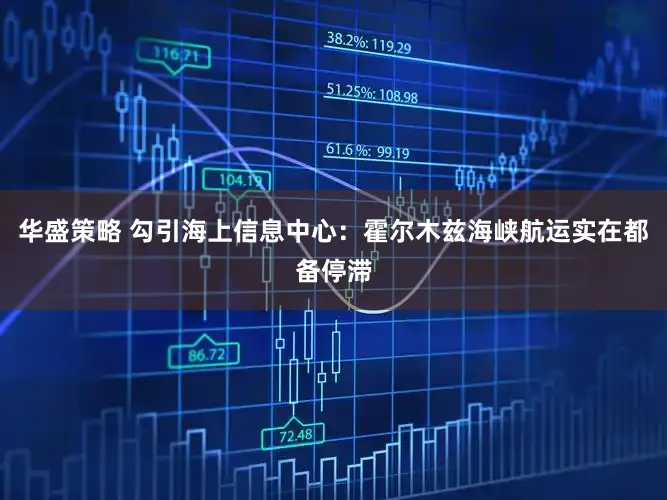 华盛策略 勾引海上信息中心：霍尔木兹海峡航运实在都备停滞