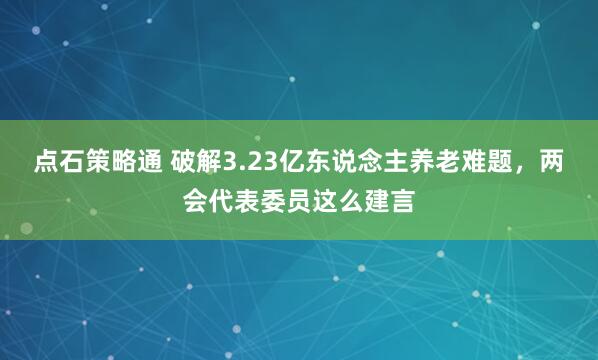 点石策略通 破解3.23亿东说念主养老难题，两会代表委员这么建言