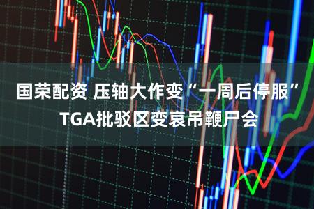 国荣配资 压轴大作变“一周后停服” TGA批驳区变哀吊鞭尸会