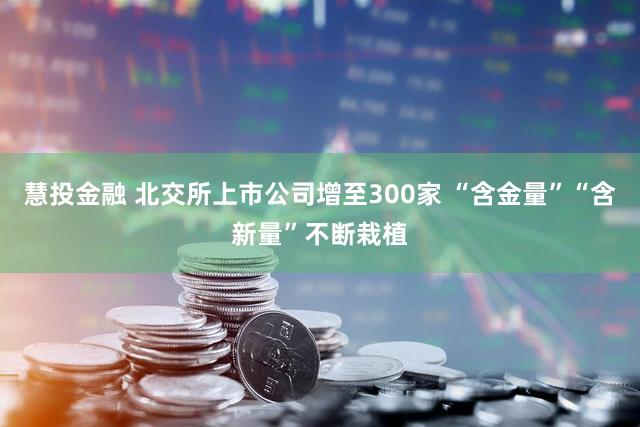 慧投金融 北交所上市公司增至300家 “含金量”“含新量”不断栽植