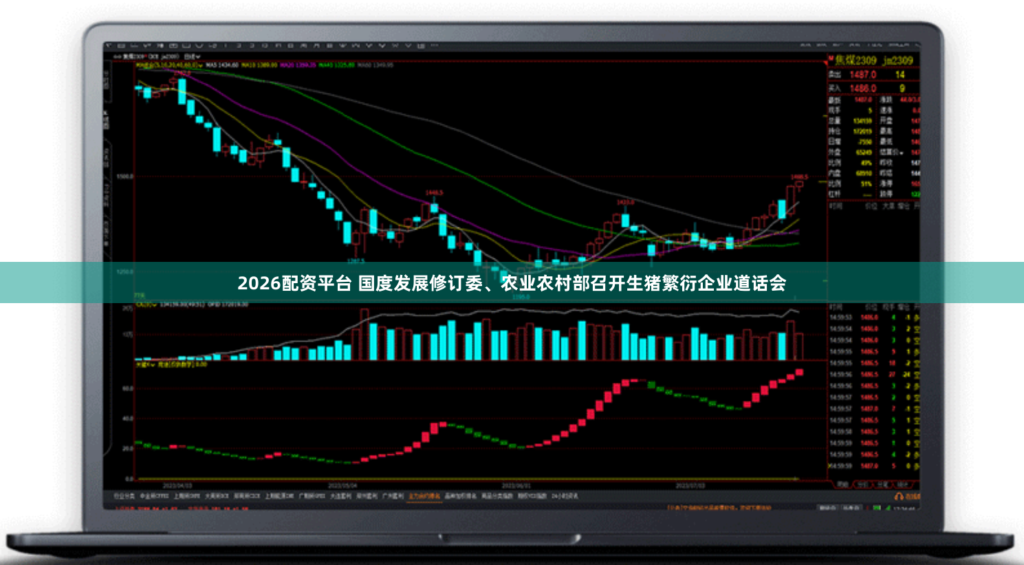 2026配资平台 国度发展修订委、农业农村部召开生猪繁衍企业道话会