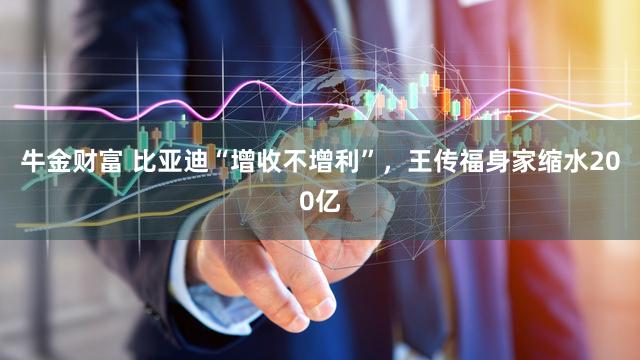 牛金财富 比亚迪“增收不增利”，王传福身家缩水200亿