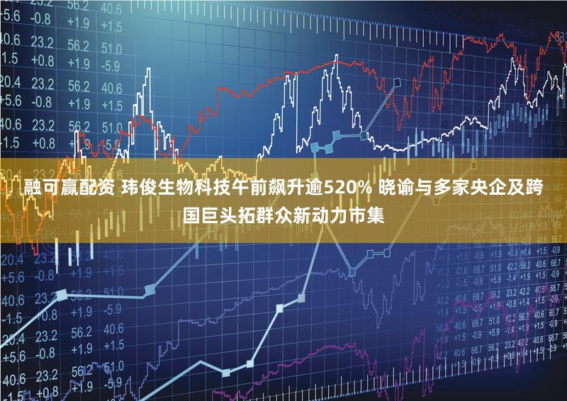 融可赢配资 玮俊生物科技午前飙升逾520% 晓谕与多家央企及跨国巨头拓群众新动力市集