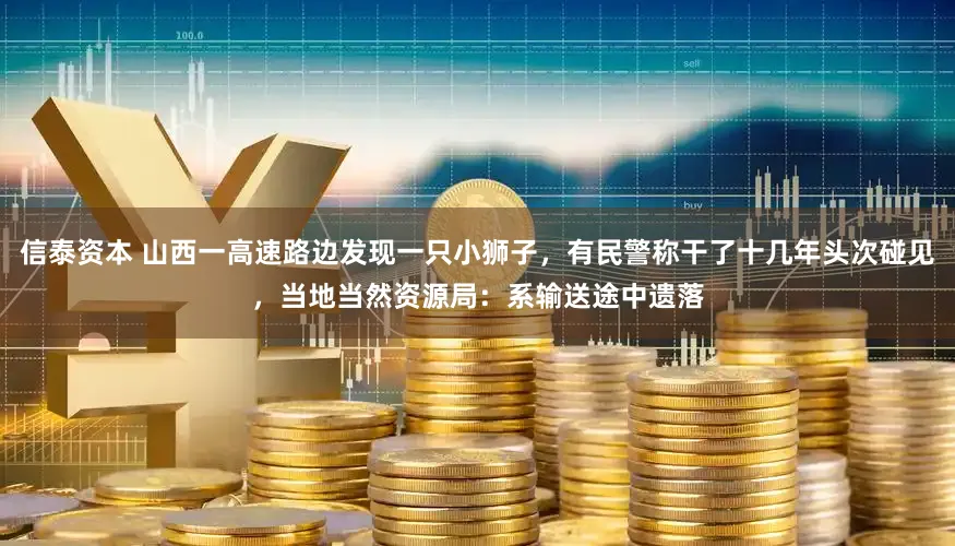 信泰资本 山西一高速路边发现一只小狮子，有民警称干了十几年头次碰见，当地当然资源局：系输送途中遗落