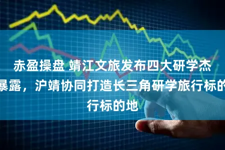 赤盈操盘 靖江文旅发布四大研学杰作暴露，沪靖协同打造长三角研学旅行标的地