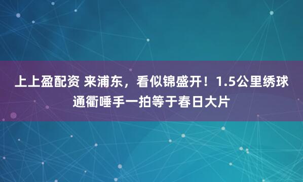 上上盈配资 来浦东,看似锦盛开!1.5公里绣球通衢唾手一拍等于春日大片