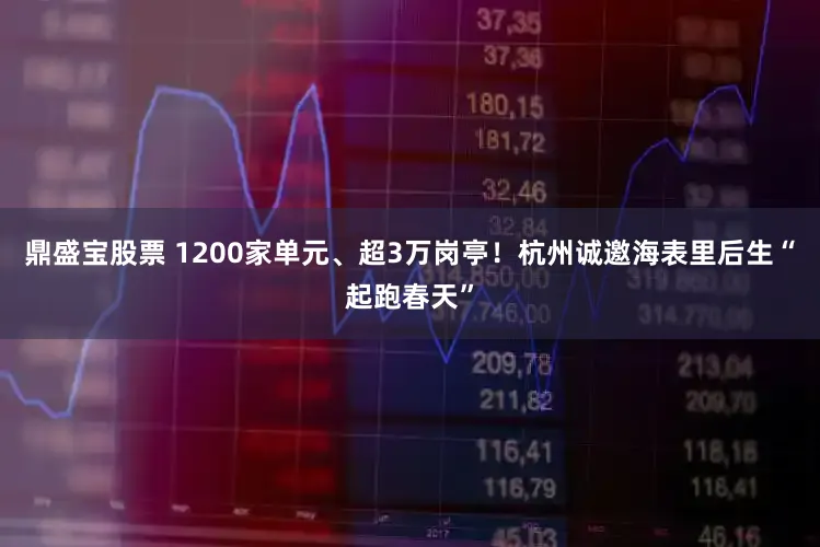 鼎盛宝股票 1200家单元、超3万岗亭!杭州诚邀海表里后生“起跑春天”