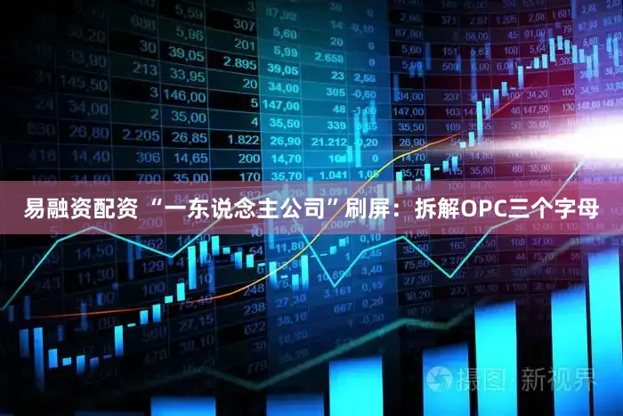 易融资配资 “一东说念主公司”刷屏：拆解OPC三个字母