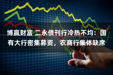 博赢财富 二永债刊行冷热不均：国有大行密集募资，农商行集体缺席